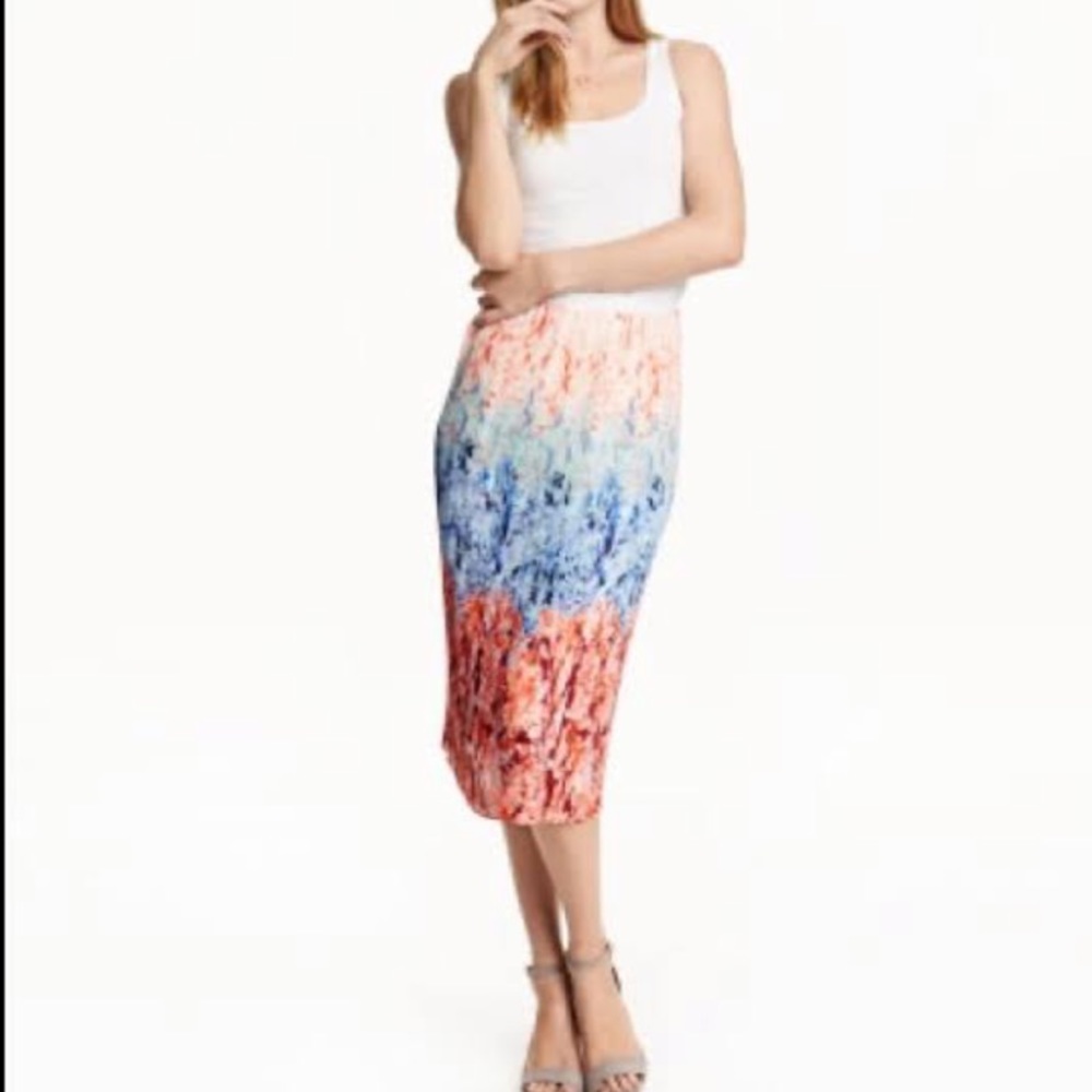 H&M Pleated Ombré Floral Skirt